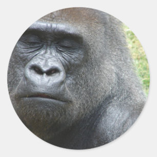 Gorilla Look Sticker
