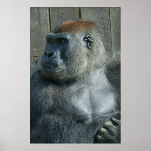 Gorilla Lope Poster