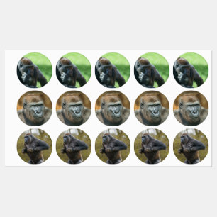 Gorilla Lope (Round Design) Etiketten