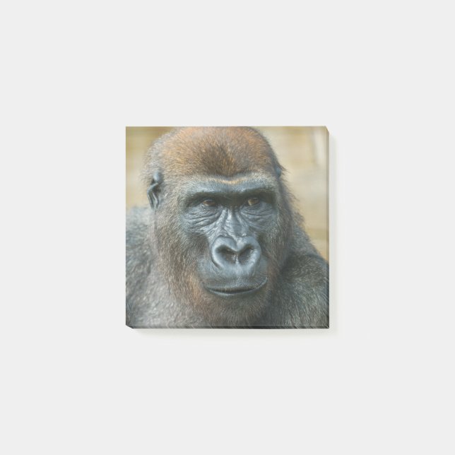 Gorilla Paper Post-it Klebezettel (Vorderseite)