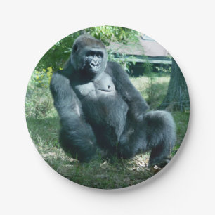 Gorilla Paper-Teller Pappteller