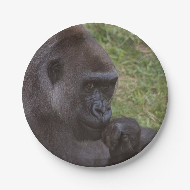 Gorilla Pappteller (Vorderseite)