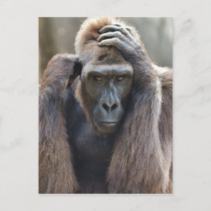 Gorilla-Pose Postkarte