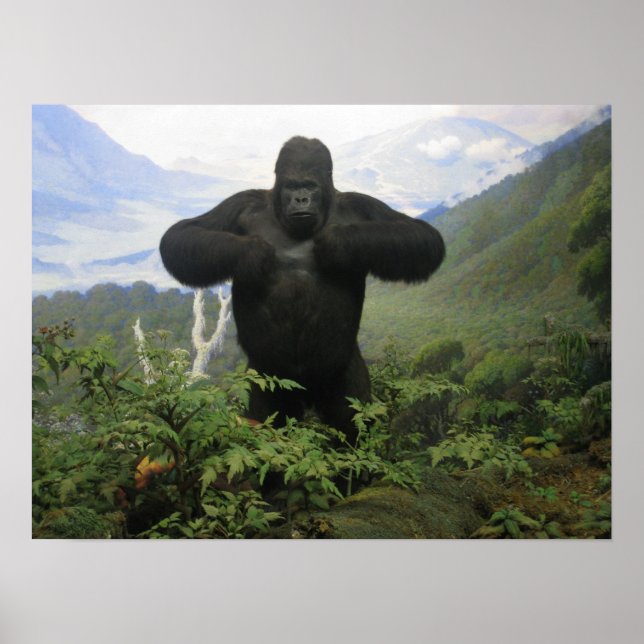 Gorilla Poster (Vorne)
