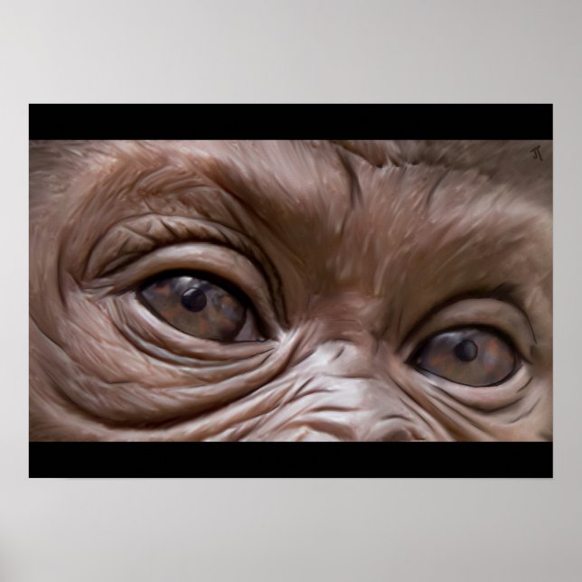 Gorilla Poster (Vorne)