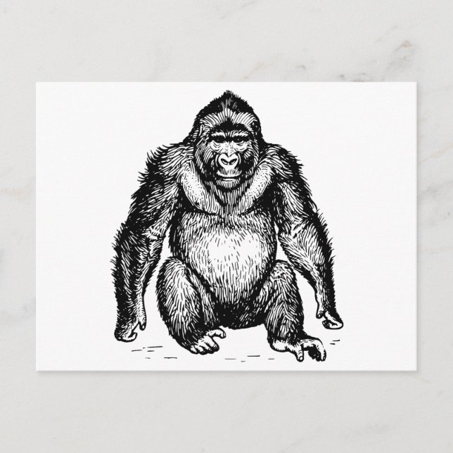 Gorilla Postkarte (Vorderseite)