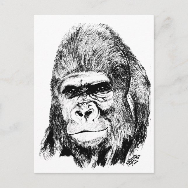 Gorilla Postkarte (Vorderseite)