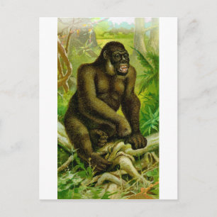 Gorilla Postkarte