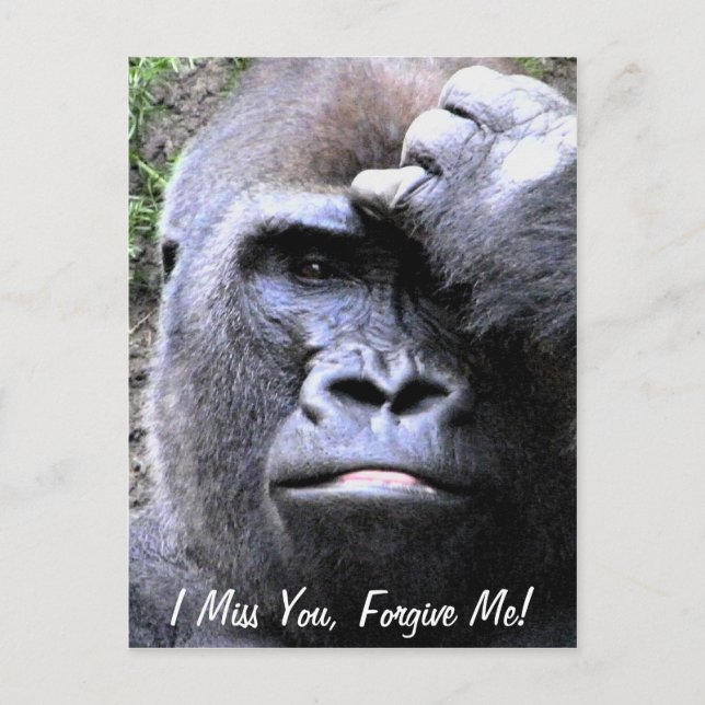 Gorilla_ Postkarte (Vorderseite)