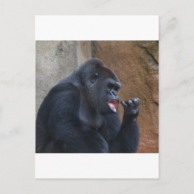 Gorilla Postkarte (Vorderseite)
