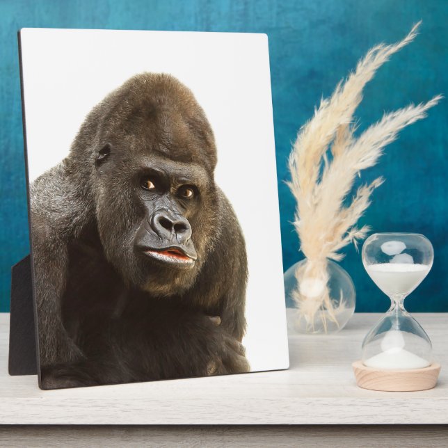Gorilla Pout Fotoplatte (Seite)