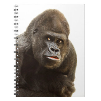 Gorilla Pout Notizblock