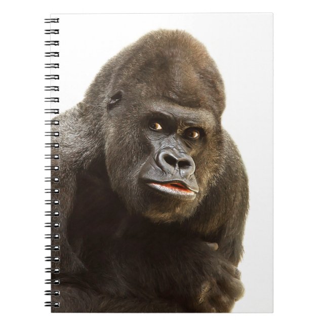 Gorilla Pout Notizblock (Vorderseite)