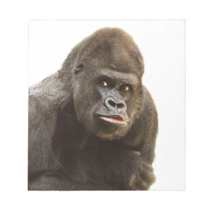 Gorilla Pout Notizblock
