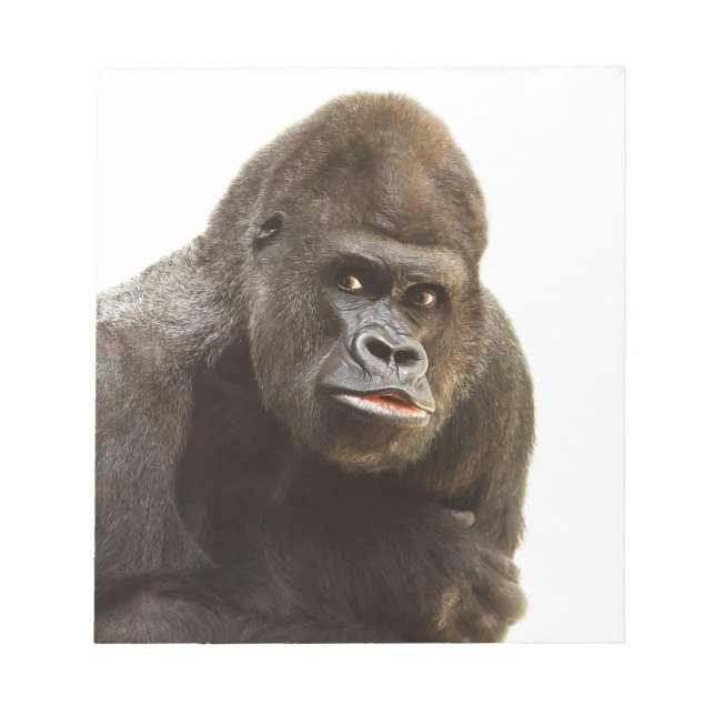 Gorilla Pout Notizblock (Vorderseite)