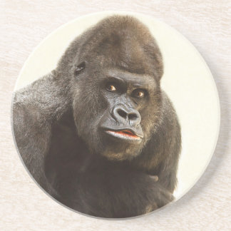 Gorilla Pout Sandstein Untersetzer