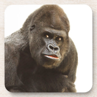 Gorilla Pout Untersetzer