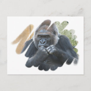 Gorilla Primat Postcard Postkarte