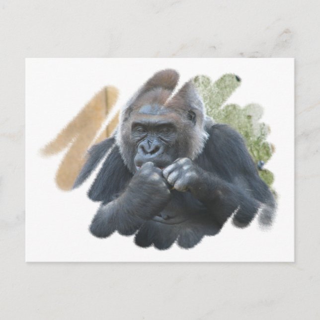 Gorilla Primat Postcard Postkarte (Vorderseite)