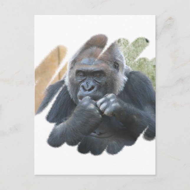 Gorilla Primat Postcard Postkarte (Vorderseite)