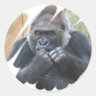 Gorilla Primat Stickers