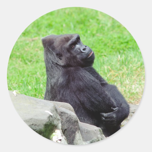 Gorilla Relaxing Sticker (Vorderseite)