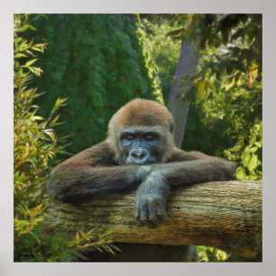 GORILLA "RETT UNSERE ARTEN" POSTER