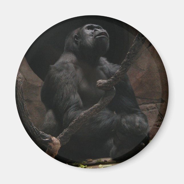 Gorilla /Round Magnet (Vorne)