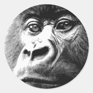 Gorilla Runder Aufkleber