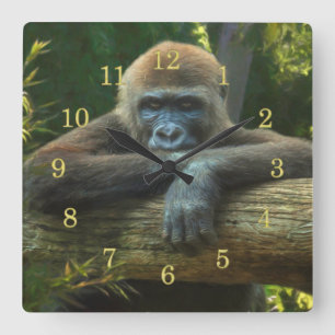 GORILLA  “SAVE OUR SPECIES” QUADRATISCHE WANDUHR