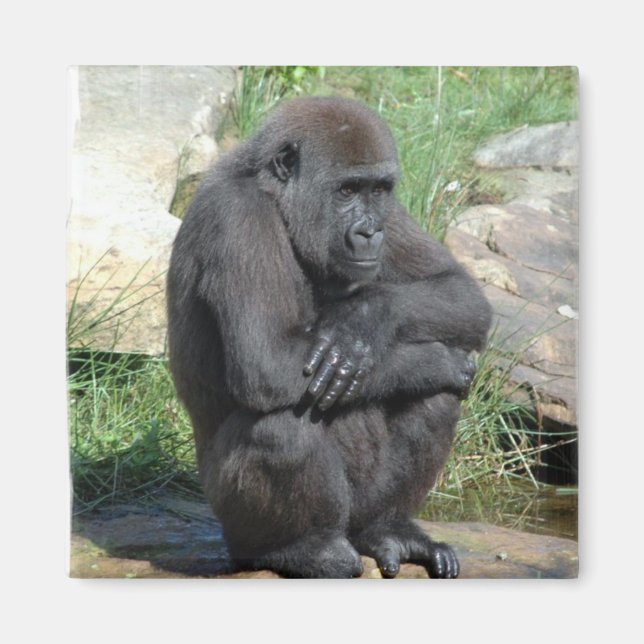 Gorilla Sitting Magnet (Vorne)