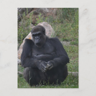 Gorilla Sitting Postkarte