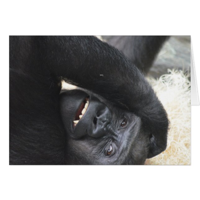 Gorilla Smile (Vorderseite (Horizontal))