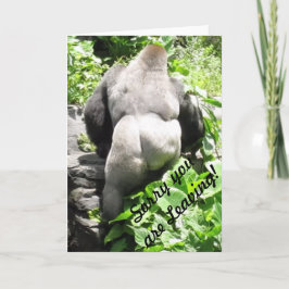 Gorilla 'Sorry you are Verlass' Grußkarte Karte