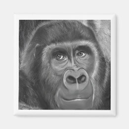 Gorilla sucking fingers Magnet2指しゃぶりのゴリラマグネット Magnet