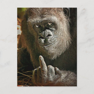 Gorilla Tall Man Postkarte