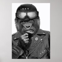 Gorilla Typ