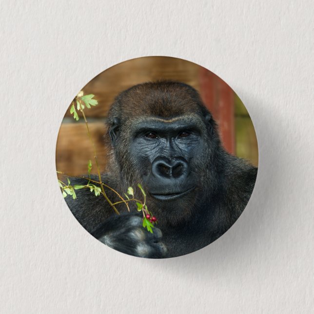 Gorilla und seine Berries Button (Vorderseite)