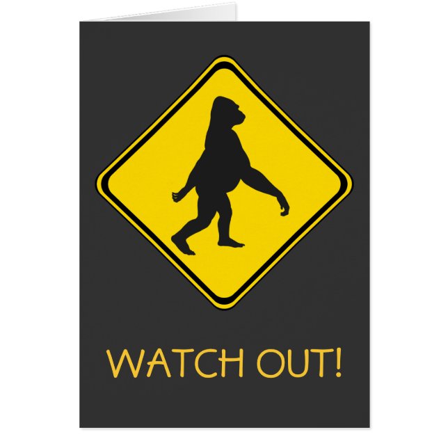 Gorilla Xing! (Vorne)