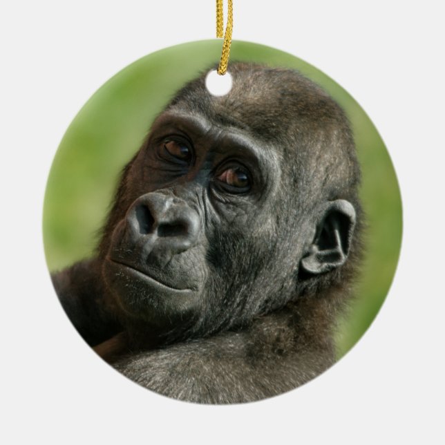 Gorilla Youngster Keramik Ornament (Vorne)