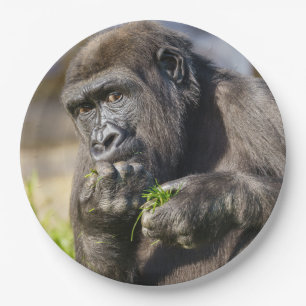 Gorilla Youngster Napkin Pappteller