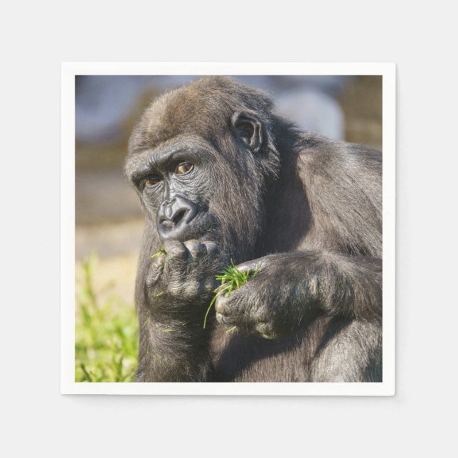 Gorilla Youngster Serviette (Vorderseite)