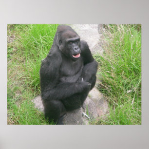 Gorillas 007 Leinwand Poster