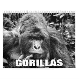 Gorillas 2022 Wall Calendar Kalender
