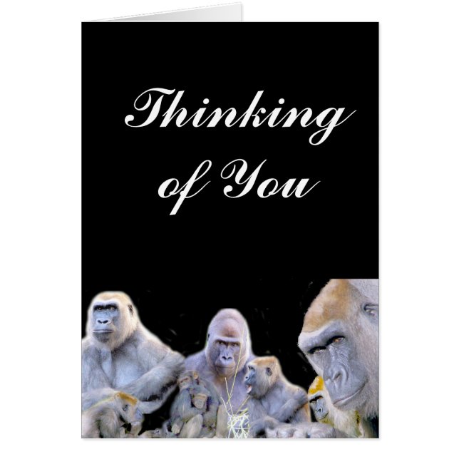 Gorillas & Chimpanzes_ (Vorne)