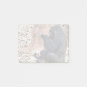 Gorillas Lulu und Floyd im Zoo Atlanta Post-it Klebezettel