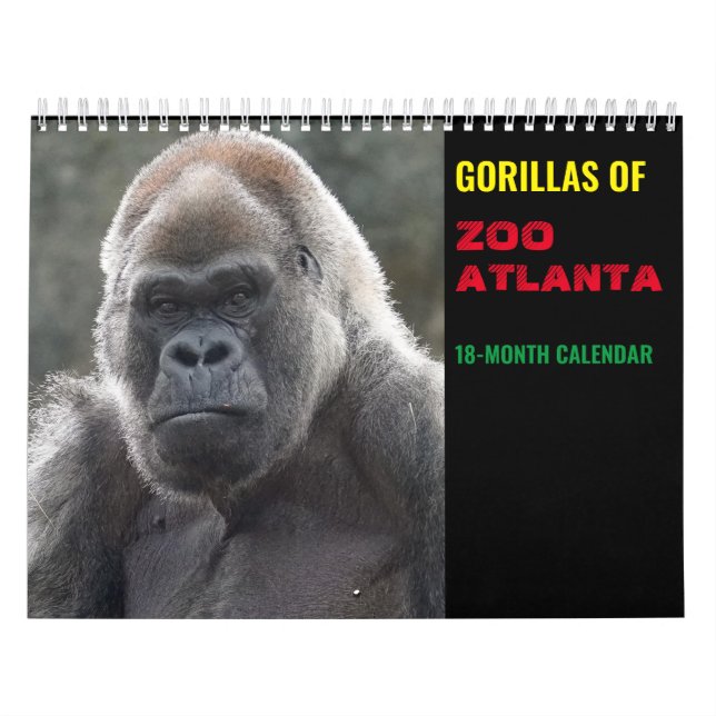 Gorillas of Zoo Atlanta 2022 Kalender (18 Monate) (Titelbild)