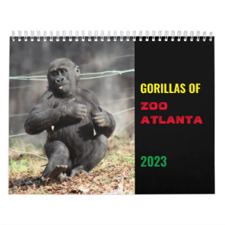 Gorillas of Zoo Atlanta 2023 Calendar Kalender