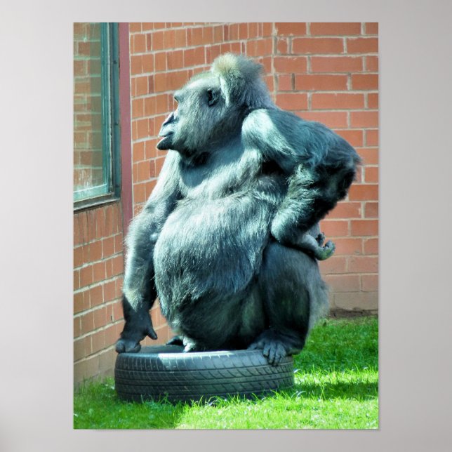 GORILLAS POSTER (Vorne)