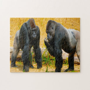 Gorillas. Puzzle